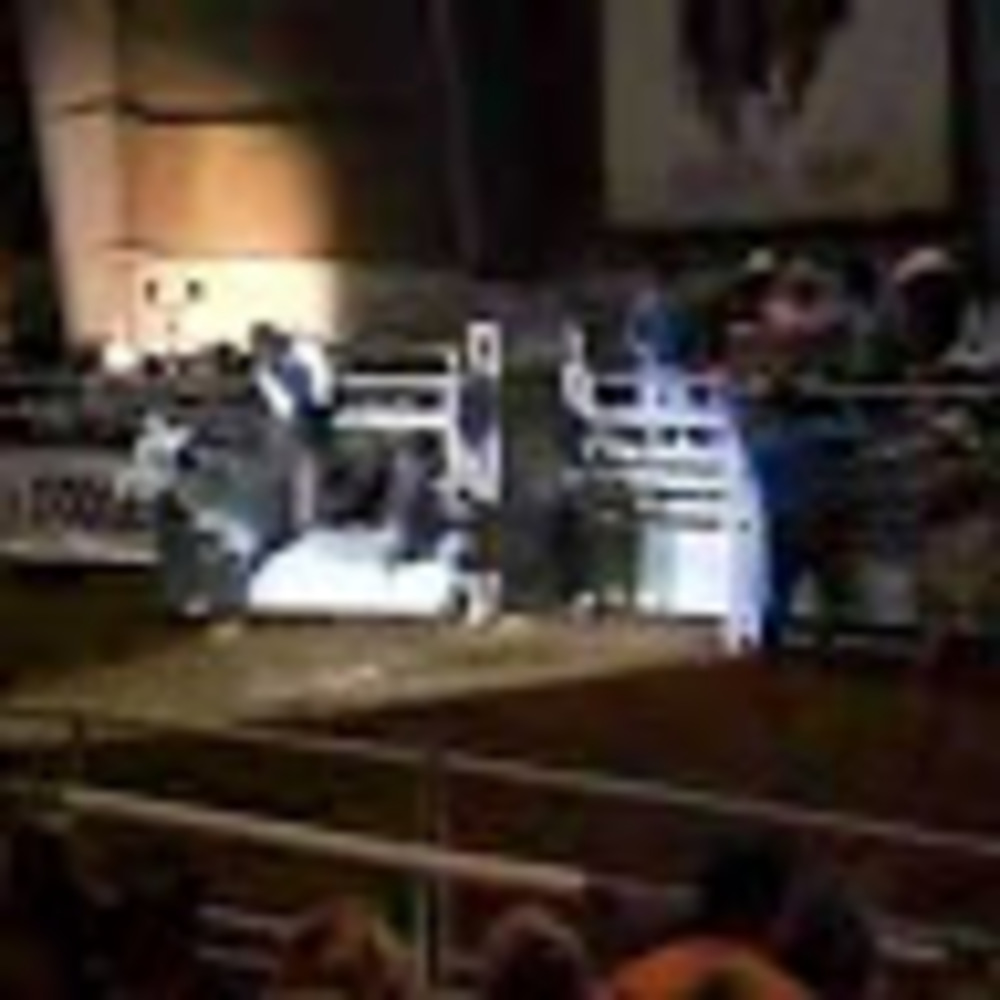 Meet your Posher, Tabitha